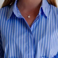 Col chemise iris